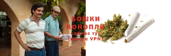 наркотики Бородино