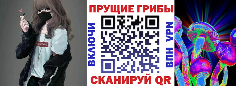 наркота Усть-Катав Галлюциногенные грибы Psilocybe